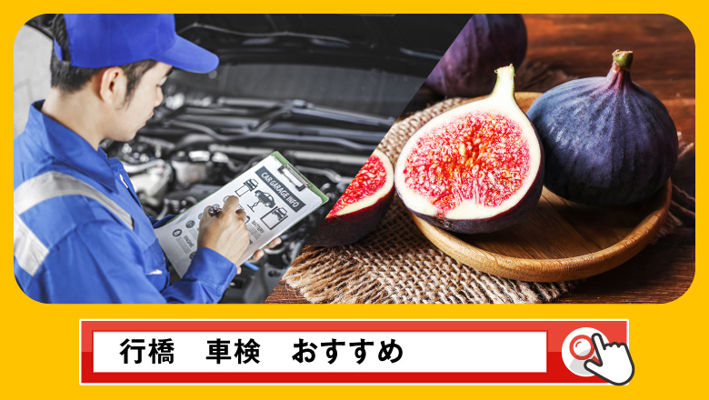 行橋で車検を受けるならどこがいい？車検業者の選び方や選択肢を徹底紹介