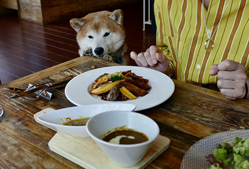 ランチもお土産も軽井沢ならではの地元野菜を4