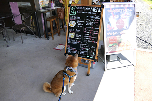 ランチもお土産も軽井沢ならではの地元野菜を6