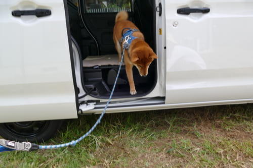 ソロキャンプ、車中泊、ペットのいるご家庭にも