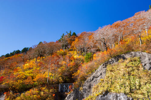 石川県・岐阜県「白山白川郷ホワイトロード」