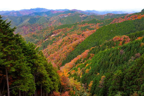 和歌山県「高野龍神スカイライン」