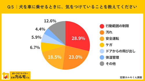 Q5犬を車に乗せるときに気をつけていることを教えてください