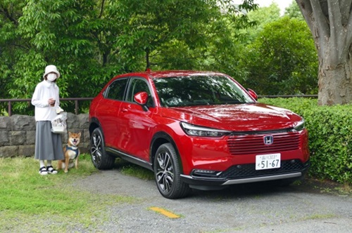 実用的でスタイリッシュなのがSUV