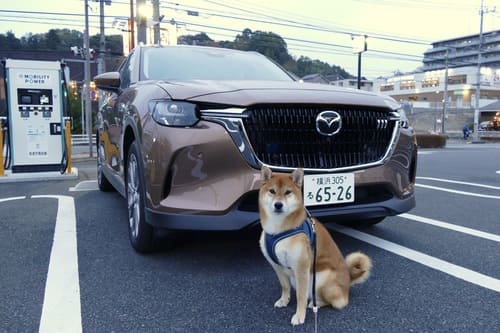 同時に4車型できました！とはならない